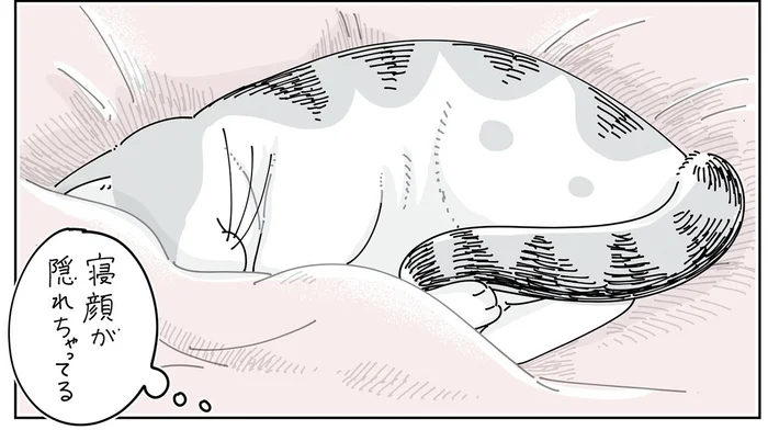 寝てると思ってた！ スヤスヤな猫を撮影しようと近づいた結果