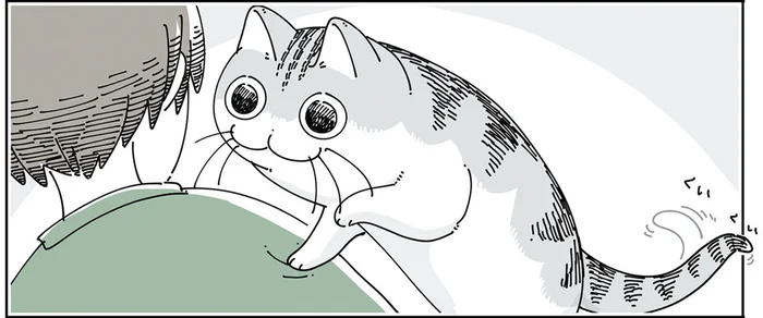 乗ろうかな、やっぱりやめようかな。優柔不断な猫