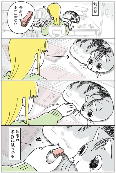 たまに本当に見つかる