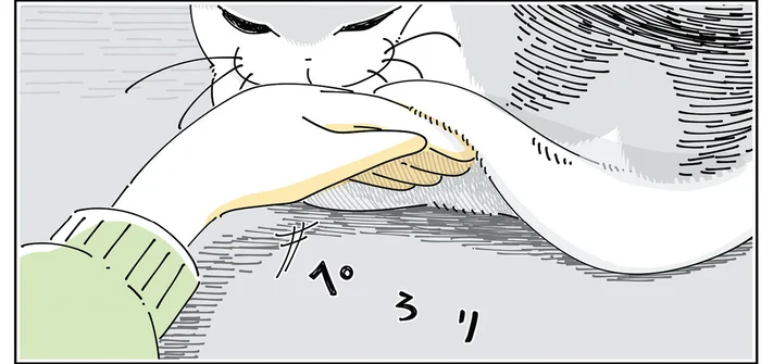 なくしものが見つかる可能性がある？ 猫の体をめくってみたら