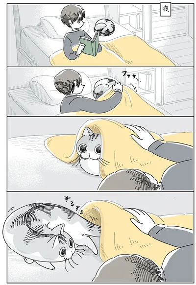 夜、布団をかけてみると
