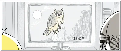 動物番組を観ていると
