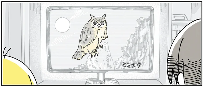 愛猫の顔が浮かび続ける動物番組視聴。猫科じゃなくてもイメージしちゃいます