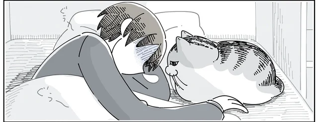 遊びたいのかな、ごめんね。体調不良のときに寄り添ってくれる猫