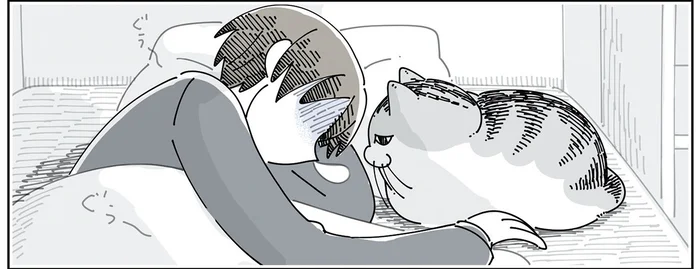 遊びたいのかな、ごめんね。体調不良のときに寄り添ってくれる猫