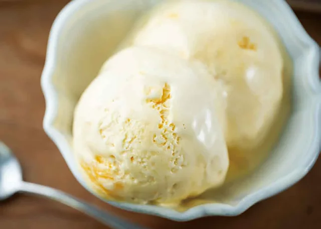 牛乳は不要！ 卵とグラニュー糖だけで作れる「濃厚バニラアイス」