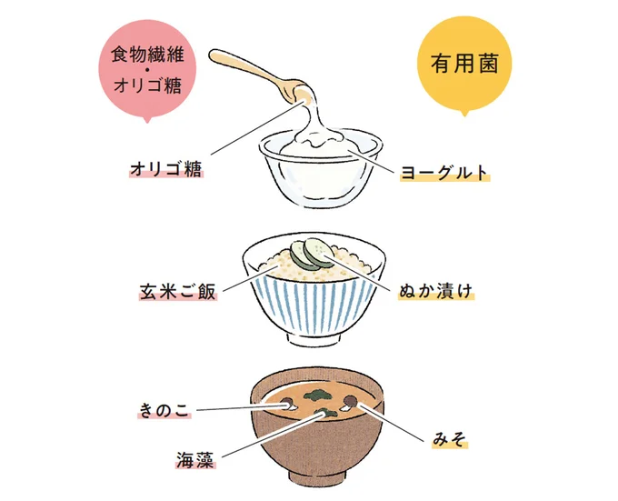 餌を摂取することで有用菌が元気に!