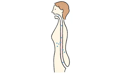 腸から吸収してはいけないものが体内に漏れてくる