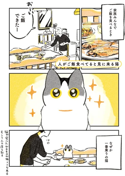 ご飯を食べるとき