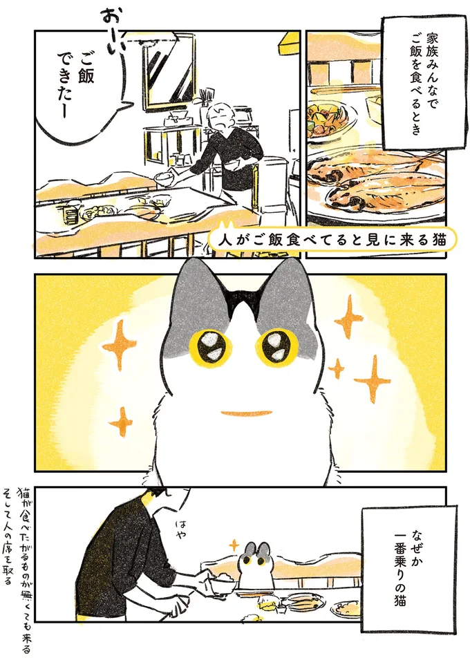 ご飯を食べるとき