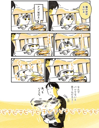 猫の分はないよ
