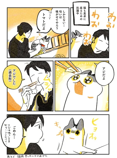 猫も食卓に座るための抗議中