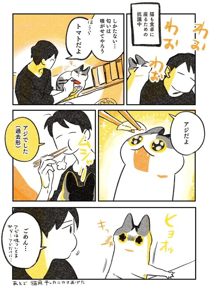 猫も食卓に座るための抗議中