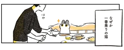 なぜか一番乗りの猫