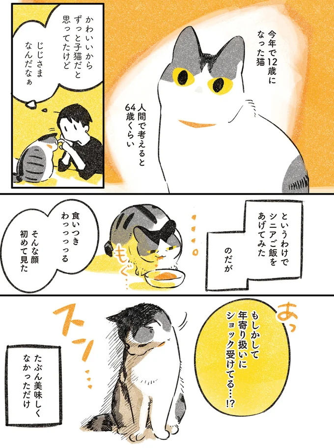 人間でいうと64歳くらい
