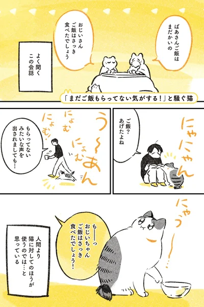 ご飯？あげたよね