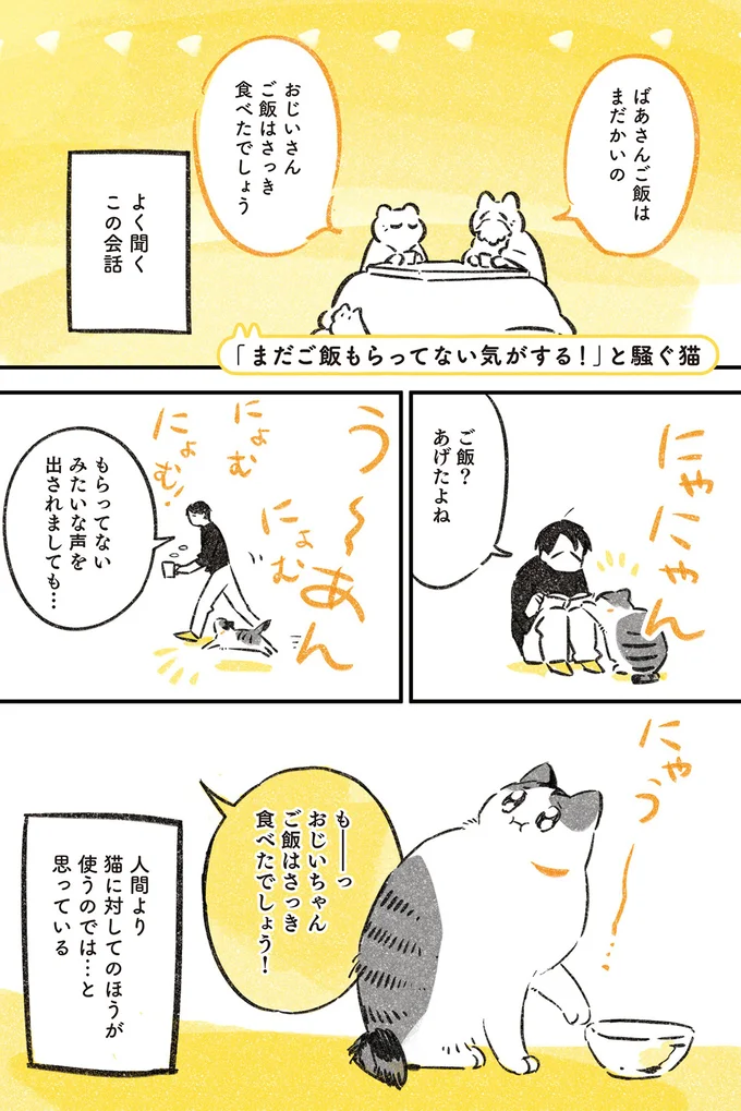 ご飯？あげたよね