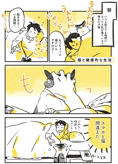 スマホと猫間違えた