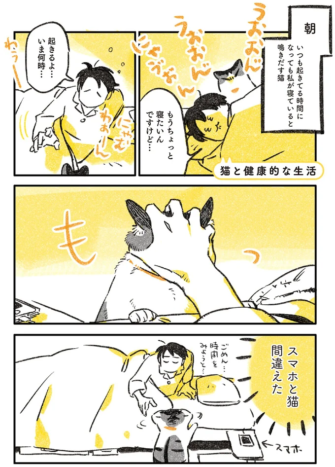 スマホと猫間違えた