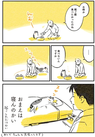 起こしただけかい