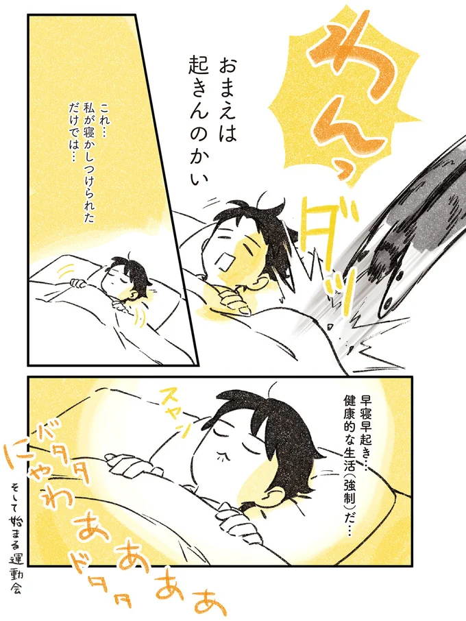 おまえは起きんのかい