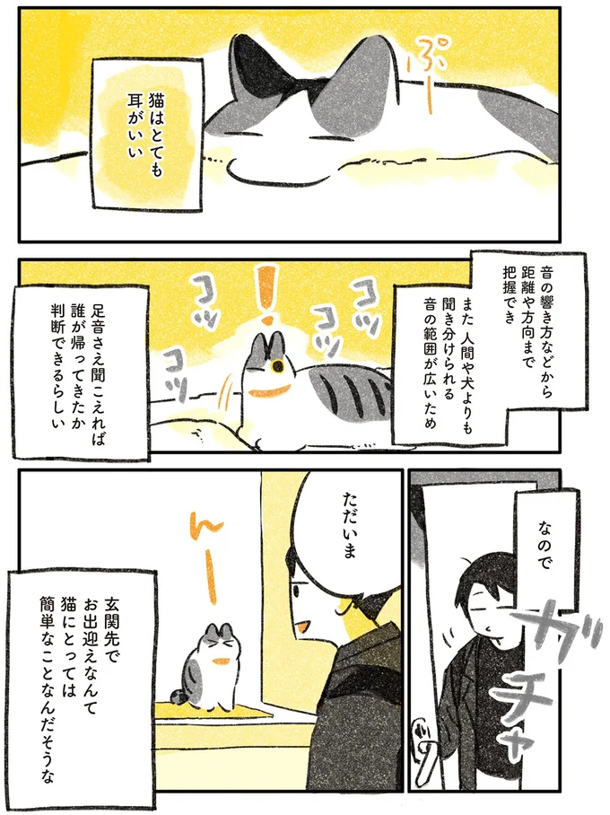 猫はとても耳がいい