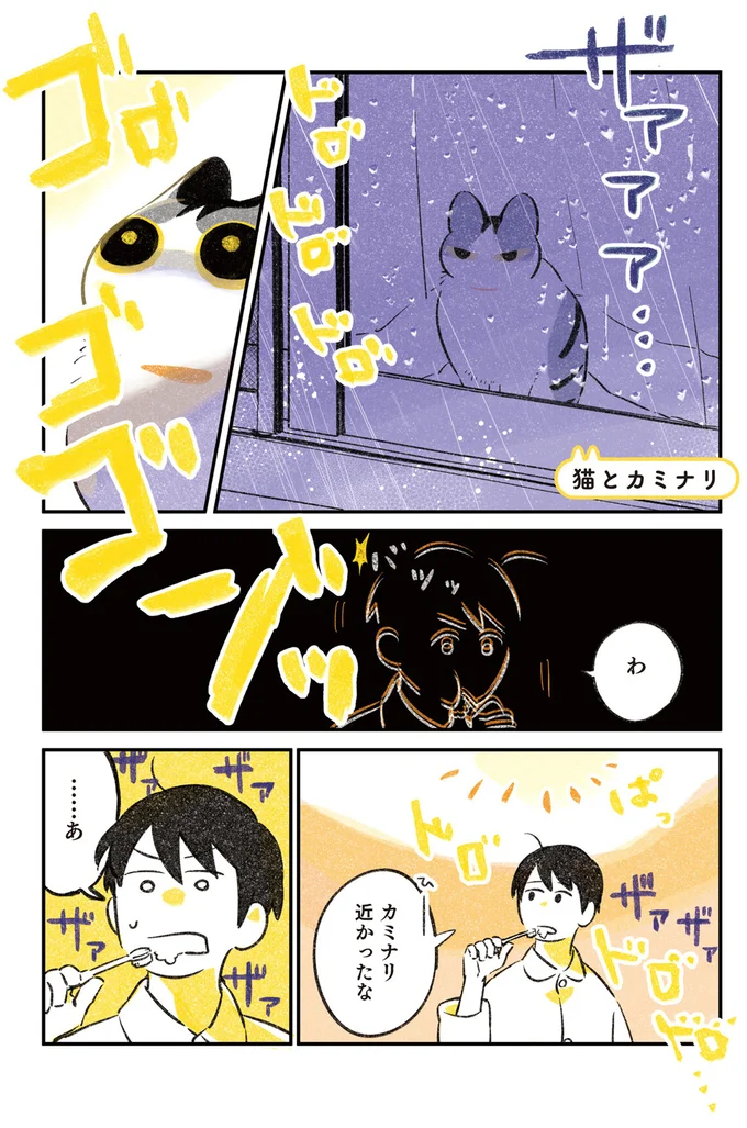 猫とカミナリ