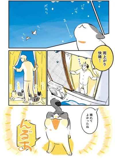 晴れてよかったね