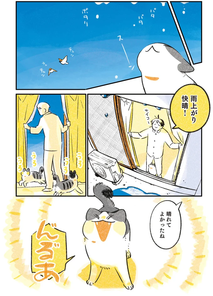 晴れてよかったね