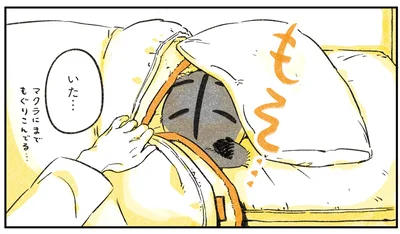 マクラにまでもぐりこんでる…
