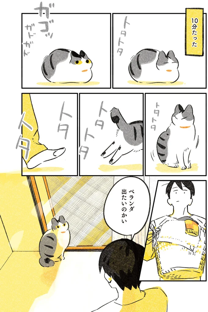 10分たった