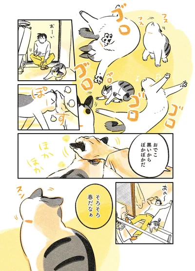 おでこ黒いからぽかぽかだ