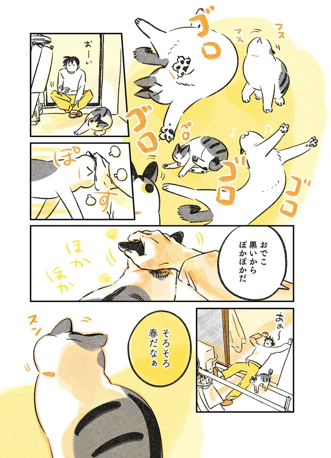 おでこ黒いからぽかぽかだ