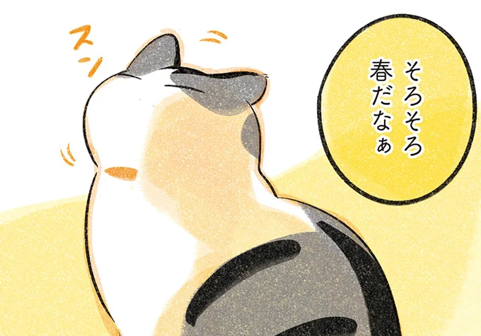 そろそろ春だなぁ
