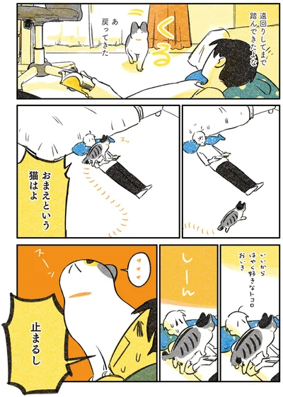 おまえという猫はよ
