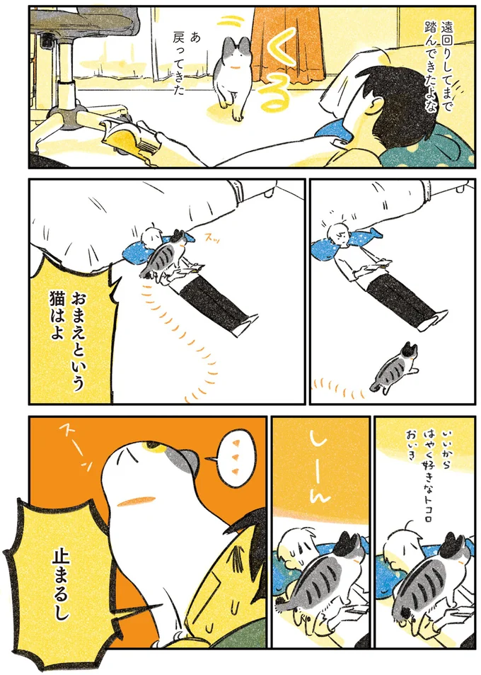 おまえという猫はよ