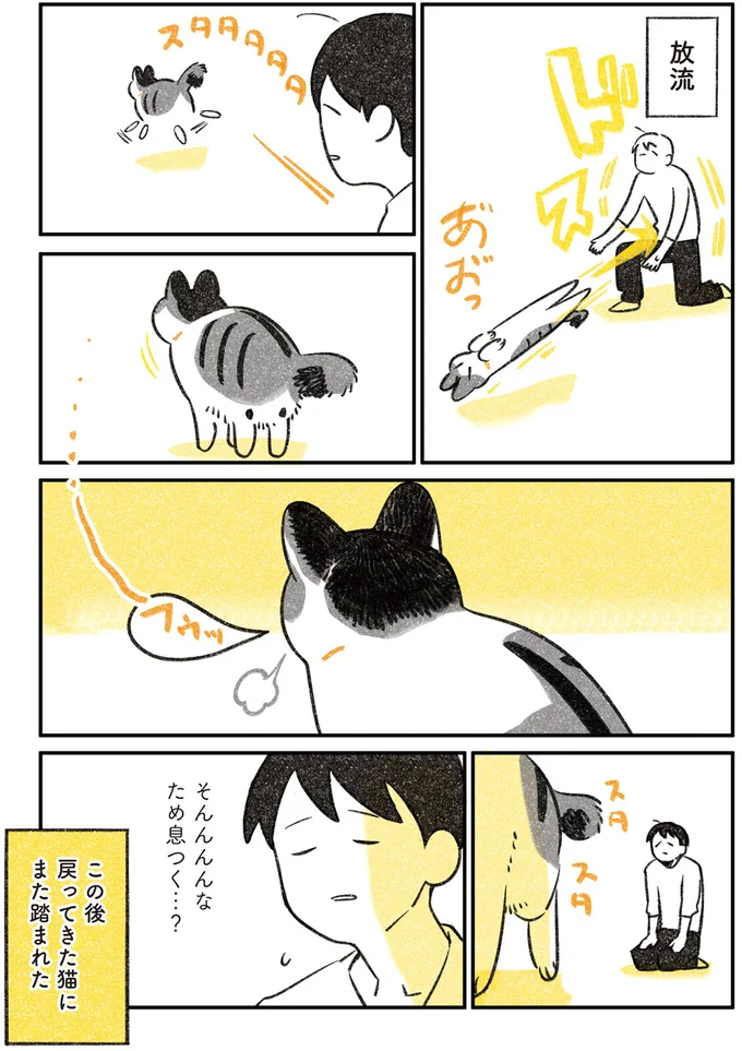 また踏まれた