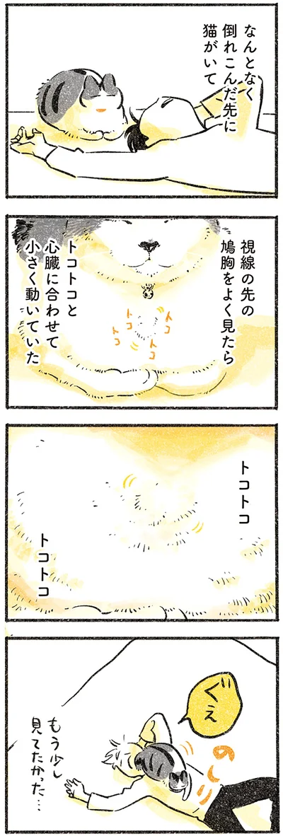 トコトコする猫