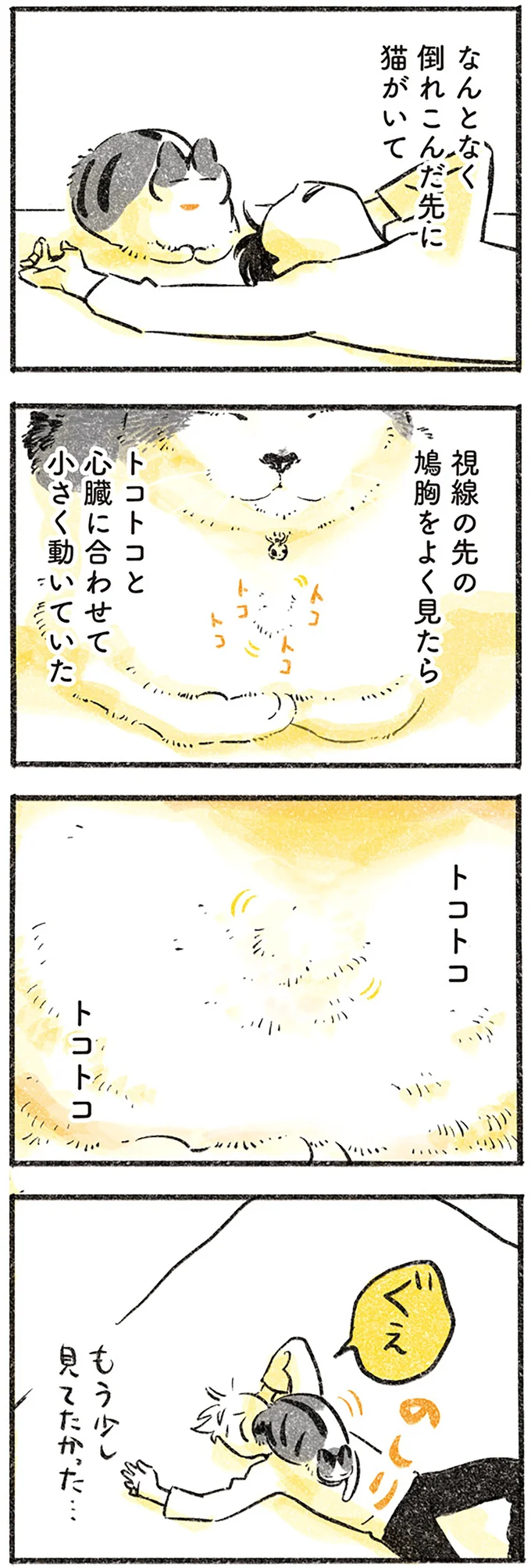 トコトコする猫