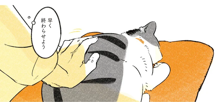 原稿が終わらない夜。どうしても一緒に寝たい猫の眠そうな顔が愛おしい