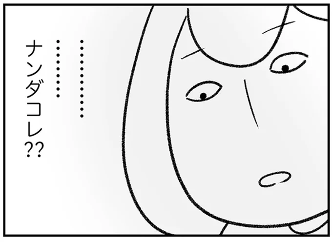 …ナンダコレ??