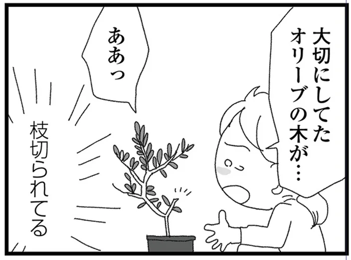 玄関先のスニーカーがなくなり、観葉植物の枝は切られて…続く不快な出来事／腐りゆく家族（4）