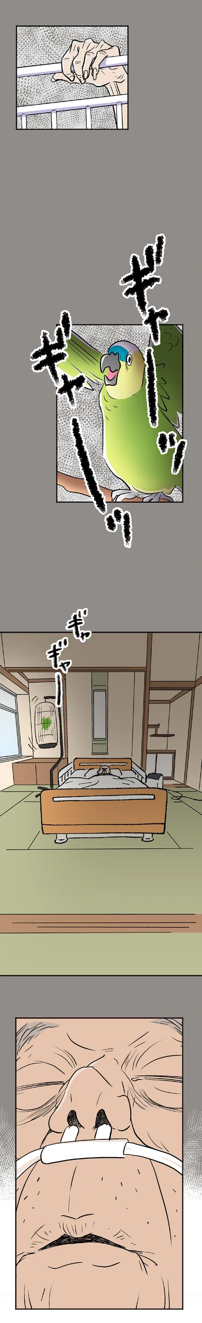 騒ぐインコ