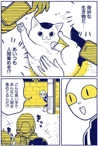 奇妙な生き物だ…