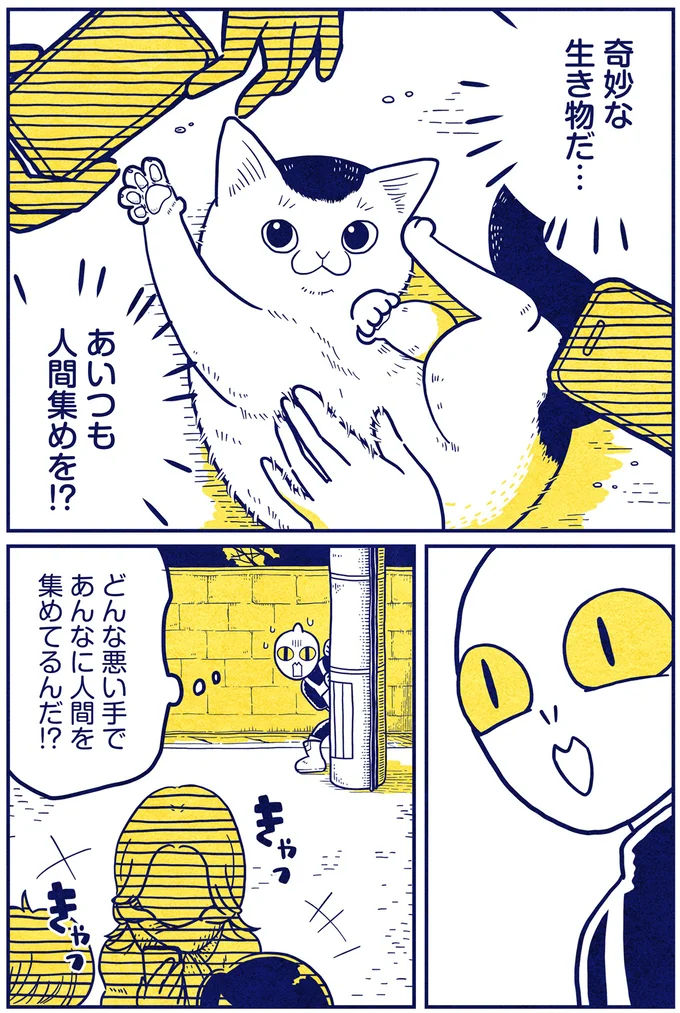 奇妙な生き物だ…