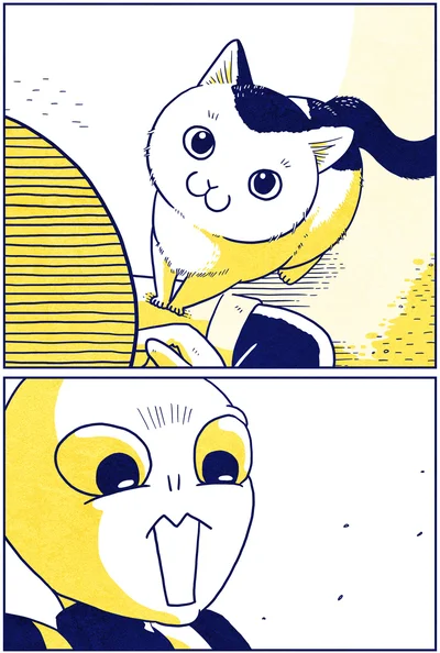 寄ってきた猫