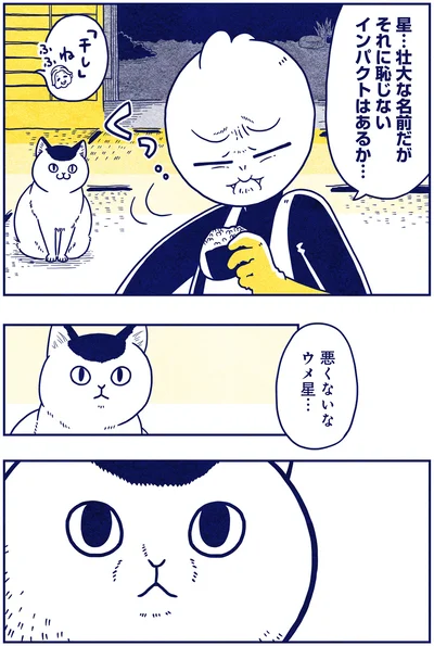『宇宙人、猫と住む』より
