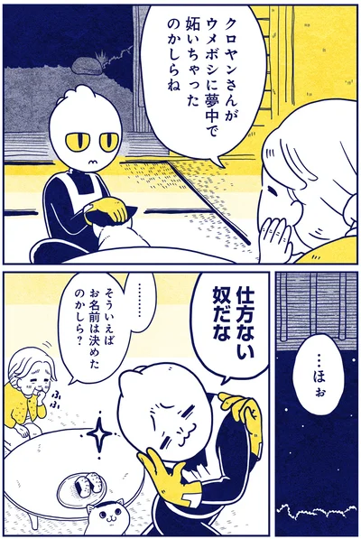 『宇宙人、猫と住む』より