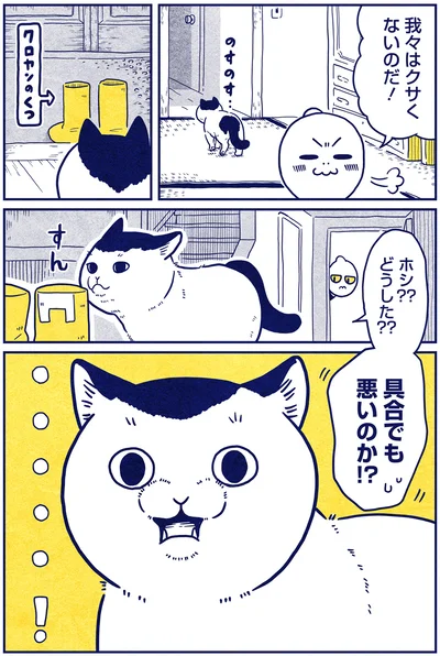 『宇宙人、猫と住む』より