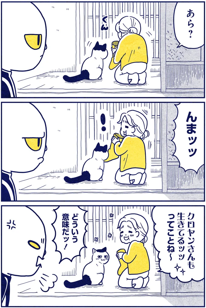 『宇宙人、猫と住む』より